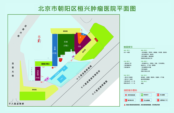 将jj插入女人的屁屁全黄北京市朝阳区桓兴肿瘤医院平面图